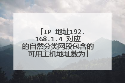 IP 地址192.168.1.4 对应的自然分类网段包含的可用主机地址数为