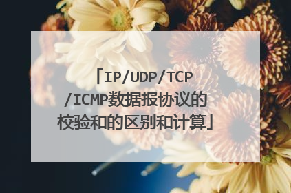 IP/UDP/TCP/ICMP数据报协议的校验和的区别和计算