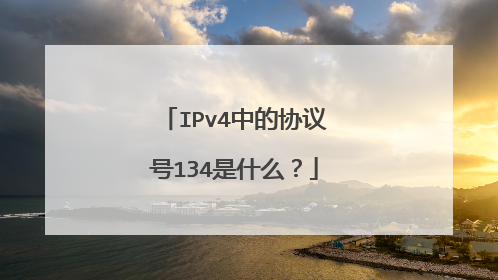 IPv4中的协议号134是什么?
