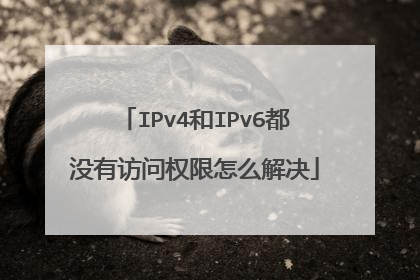 IPv4和IPv6都没有访问权限怎么解决