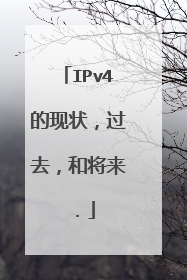 IPv4的现状,过去,和将来.