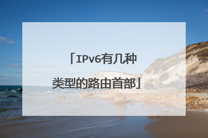 IPv6有几种类型的路由首部