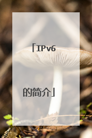 IPv6的简介