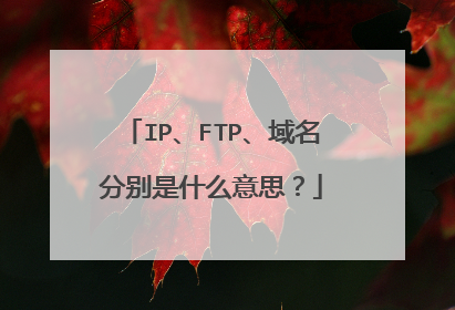 IP、FTP、域名分别是什么意思?