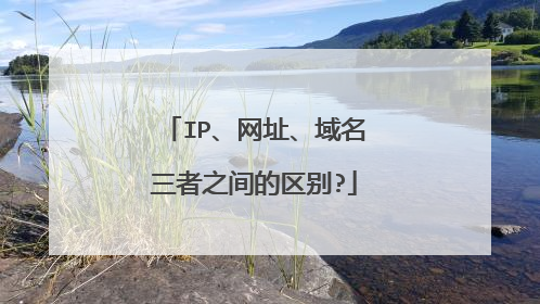 IP、网址、域名三者之间的区别?