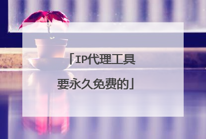 IP代理工具要永久免费的