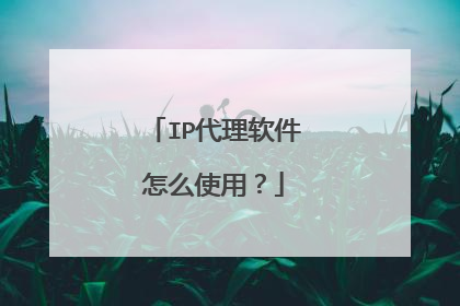 IP代理软件怎么使用？