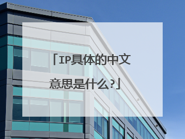 IP具体的中文意思是什么?