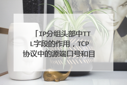 IP分组头部中TTL字段的作用,TCP协议中的源端口号和目的端口号的作用