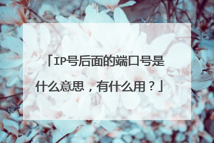 IP号后面的端口号是什么意思，有什么用？