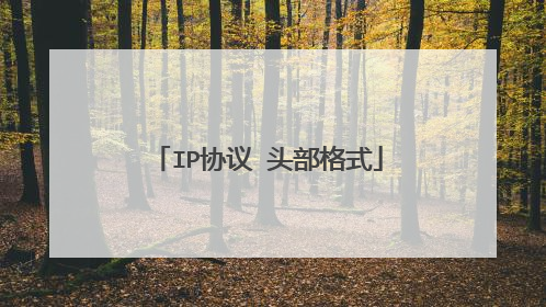 IP协议 头部格式