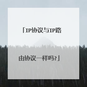 IP协议与IP路由协议一样吗?