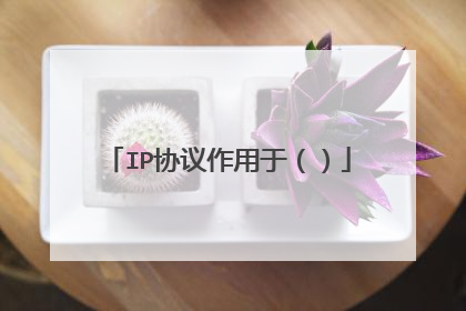 IP协议作用于（）
