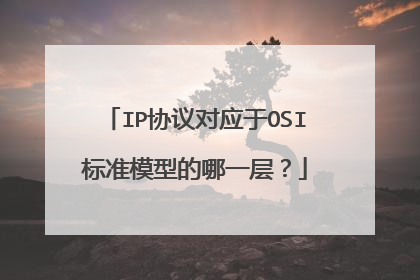 IP协议对应于OSI标准模型的哪一层？