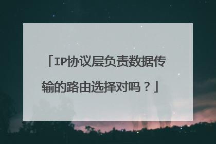 IP协议层负责数据传输的路由选择对吗?