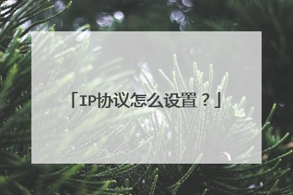 IP协议怎么设置?