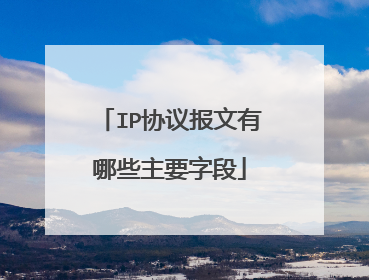IP协议报文有哪些主要字段