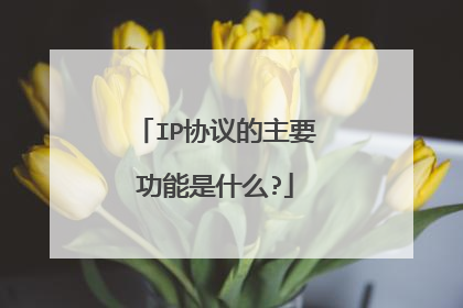 IP协议的主要功能是什么?
