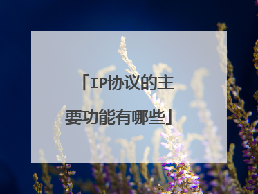 IP协议的主要功能有哪些