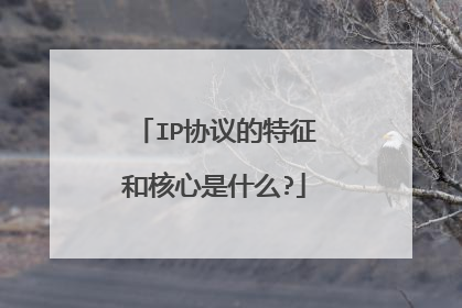 IP协议的特征和核心是什么?