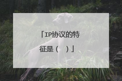 IP协议的特征是（ ）