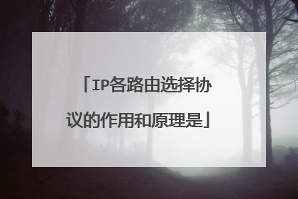 IP各路由选择协议的作用和原理是