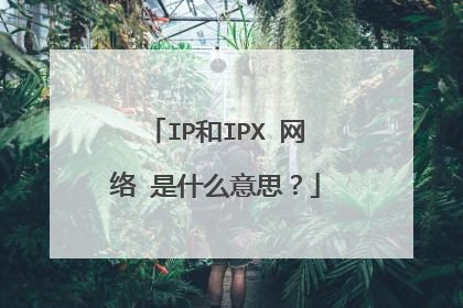IP和IPX 网络 是什么意思？