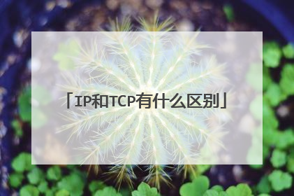 IP和TCP有什么区别