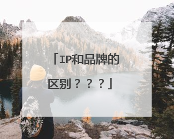 IP和品牌的区别???
