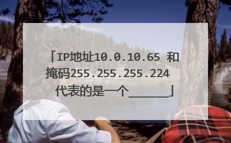 IP地址10.0.10.65 和掩码255.255.255.224  代表的是一个______