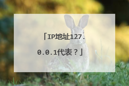 IP地址127.0.0.1代表?
