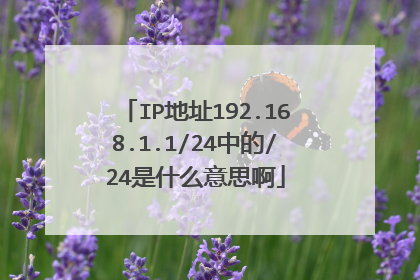 IP地址192.168.1.1/24中的/24是什么意思啊