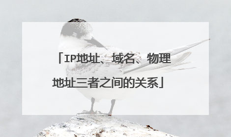 IP地址、域名、物理地址三者之间的关系
