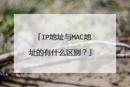IP地址与MAC地址的有什么区别?
