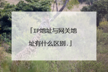 IP地址与网关地址有什么区别.