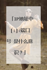 IP地址中[:]:端口号 是什么意识？