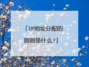 IP地址分配的原则是什么?
