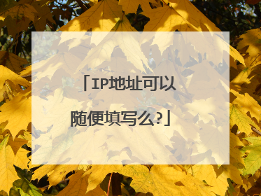 IP地址可以随便填写么?