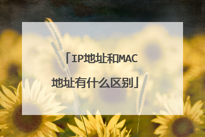 IP地址和MAC地址有什么区别