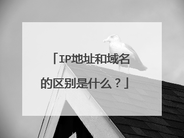 IP地址和域名的区别是什么？