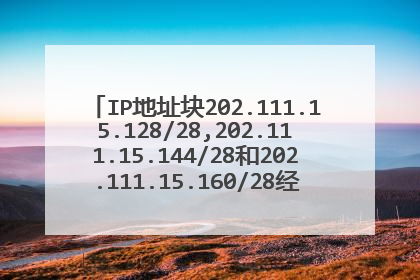 IP地址块202.111.15.128/28,202.111.15.144/28和202.111.15.160/28经过聚合后可用的地址数为44?