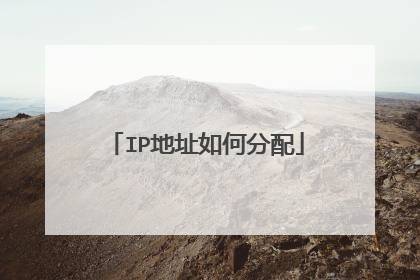 IP地址如何分配