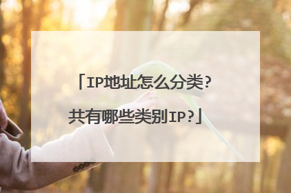IP地址怎么分类?共有哪些类别IP?