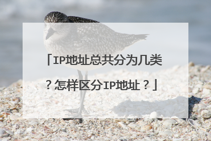 IP地址总共分为几类？怎样区分IP地址？