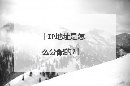 IP地址是怎么分配的?