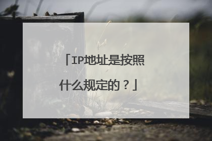 IP地址是按照什么规定的?