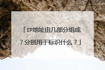 IP地址由几部分组成?分别用于标识什么?