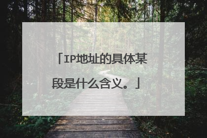 IP地址的具体某段是什么含义。