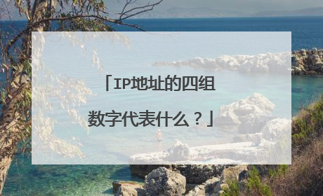 IP地址的四组数字代表什么?