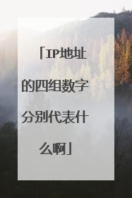 IP地址的四组数字分别代表什么啊